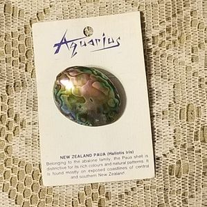Vintage Aquarius New Zealand Paua Brooch